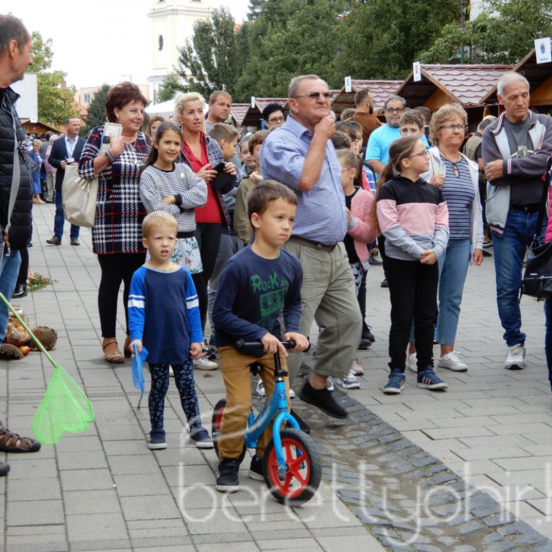 Helyi Értékek Startja 19